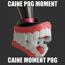 Caine pog